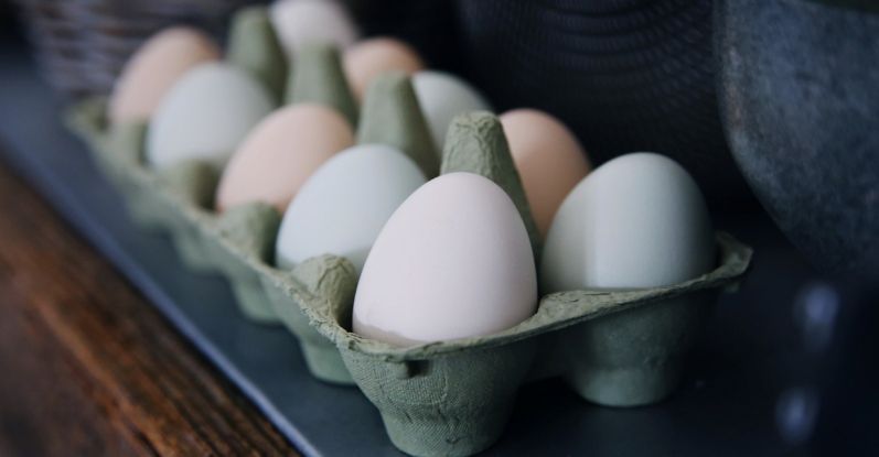 養(yǎng)殖及農業(yè)產品包裝加工